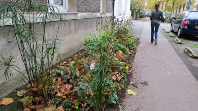 Une habitante de Rodez violée par un homme de 22 ans dans la rue